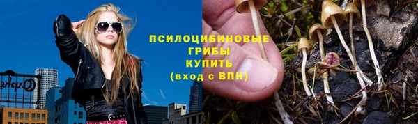 дурь Чегем